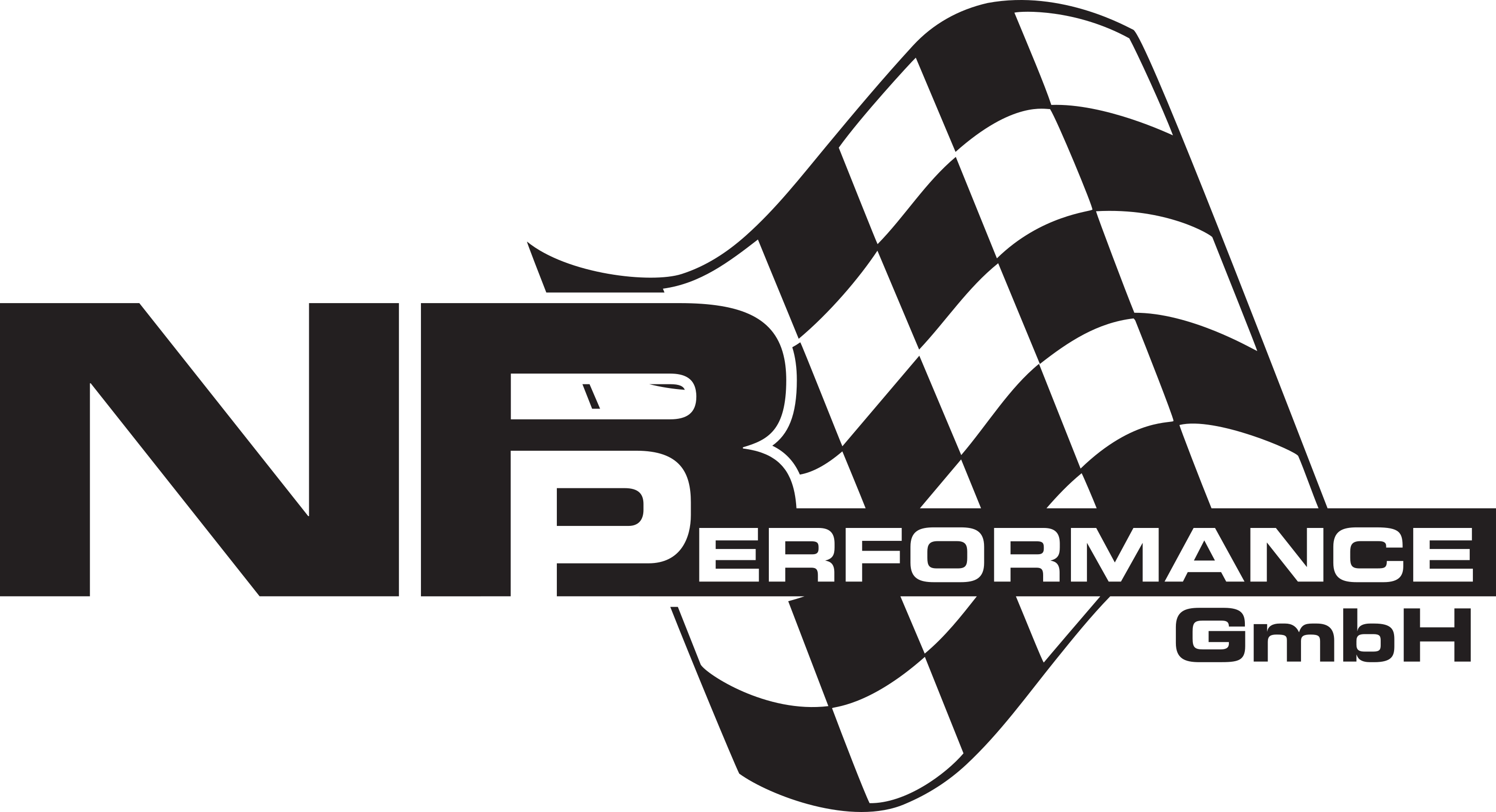 Logo NB Performance